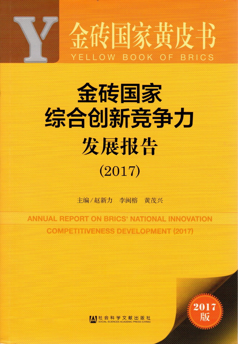 吃我奶舔我逼视频金砖国家综合创新竞争力发展报告（2017）